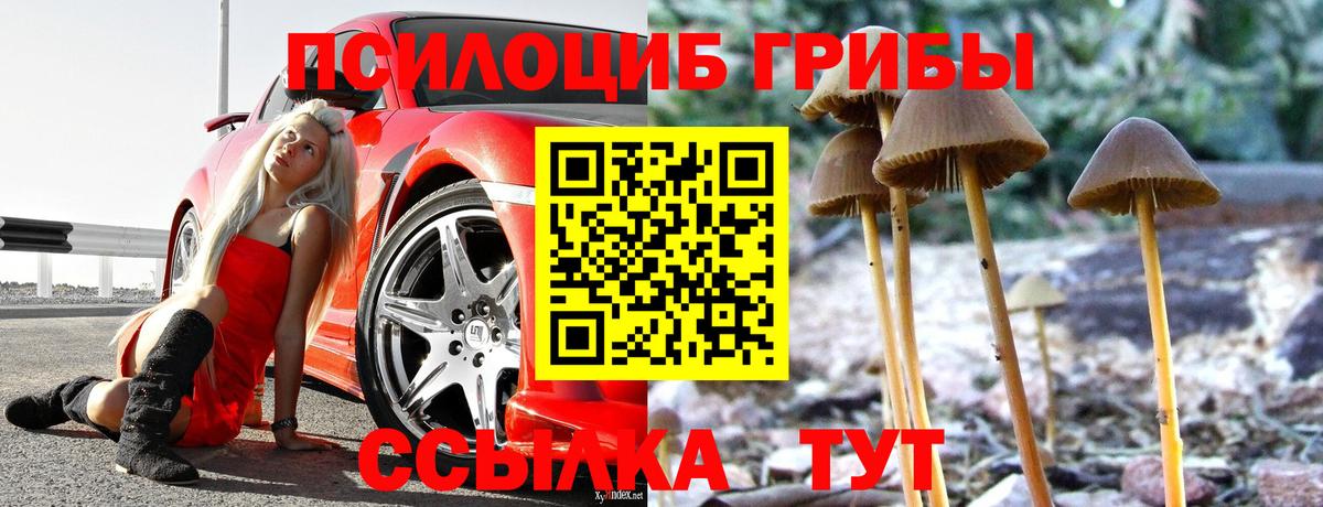 Гусиноозёрск  Псилоцибиновые грибы Psilocybine cubensis  Вход с VPN 